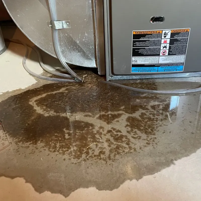 Pipe Burst and Leak Restoration in Sparkill, NY